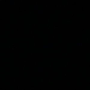 Meet your Posher, Bryauna